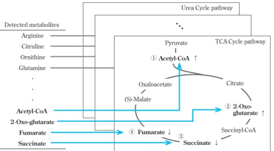 Fig. 2 Metabolic pathway analysis scheme.  Step 1: the number of up- or down-regulated metabolites is counted  on each pathway