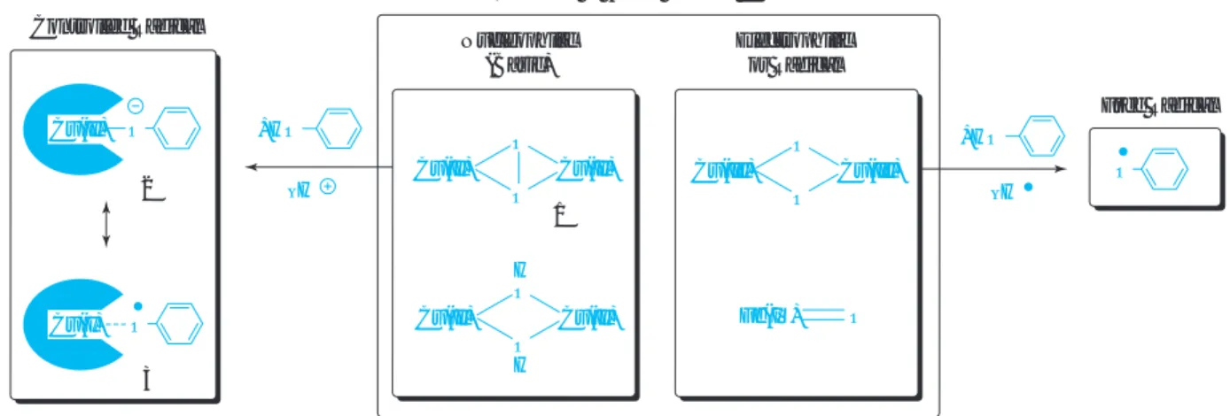 Fig. 1 Working hypothesis for regioselective oxidative polymerization catalystOOCu(II)Fe(IV) OHOOHCu(II)+HOCu(II)OOCu(II)Cu(III)OO Cu(III)Nucleophilic(Basic)–H