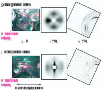 Fig. 8 Representative POM-SAXS-WAXS data  sets of zPP observed during hot drawingBefore deformation