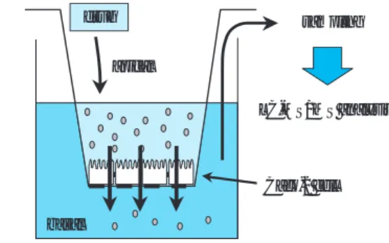 Fig. 4 Relationship between in vitro Caco-2 mem- mem-brane permeability and human absorption  rate0204060801001 10 100 1000