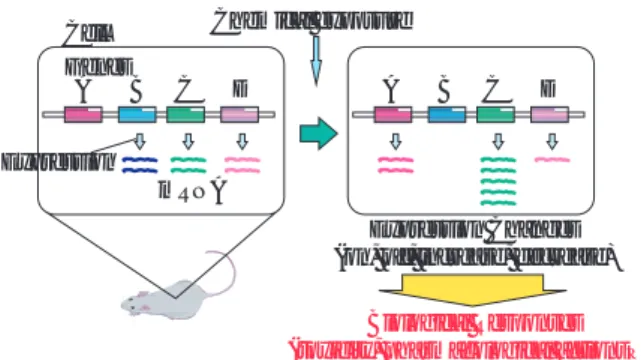 Fig. 2 Representative Method for Toxicogenomics Test Chemical (toxicity unknown or mechanism unknown)