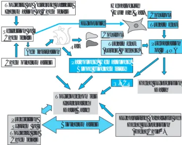 Fig. 5 Schematic Overview of the ProjectToxicity or Adverse Effects 
