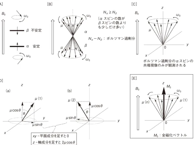 図 1. 64［D］ （a）は、一つの磁気モーメント［ μ （1）］を取り出し、それを z―軸成分（ μ cos θ ） と x， y―平面成分（ μ sin θ ）に分解した図である。図 1