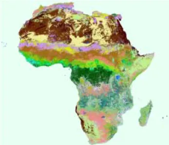 Figure 4. Examples of GLCNMO data (Africa) 