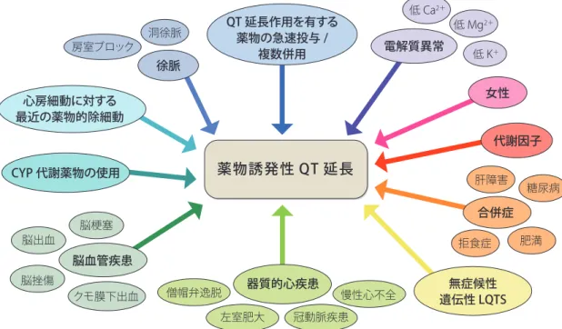 表 17  二次性 LQTS の臨床像 （   188 例） 年齢 55± 20 歳 性別（女性/ 男性） 140例/48例 QTc  二次的要因なし  二次的要因あり 453±39 msec 591±82 msec （Itoh H, et al