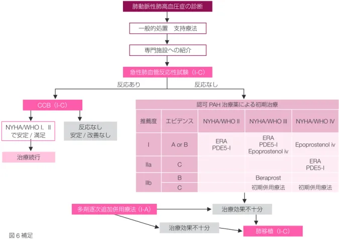 図 6 IPAH/ FPAH に対する治療