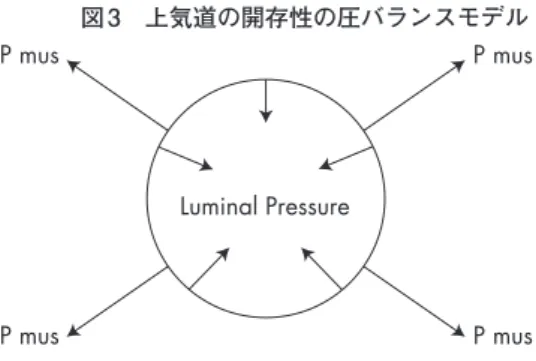 図 3　上気道の開存性の圧バランスモデル