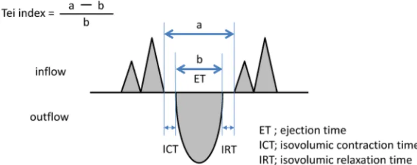 図 19   Tei index （ myocardial performance index; MPI ）
