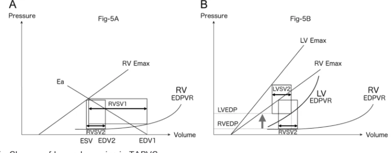 Fig.   5   Change of hemodynamics in TAPVC