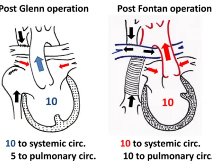 Fig.   7   Pulmonary blood and ventricular volumes after each procedure