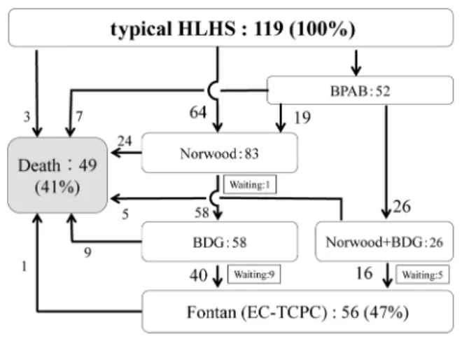 Fig. 1 は MS/AA, MA/AA, MS/AS の 3 群 の Kaplan ‒ Meier 生 存 曲 線 で あ る． MS/AA, MA/AA