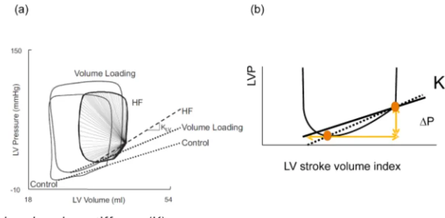 Fig.   6    End-diastolic  pressure ‒ volume (area) rela- rela-tionship