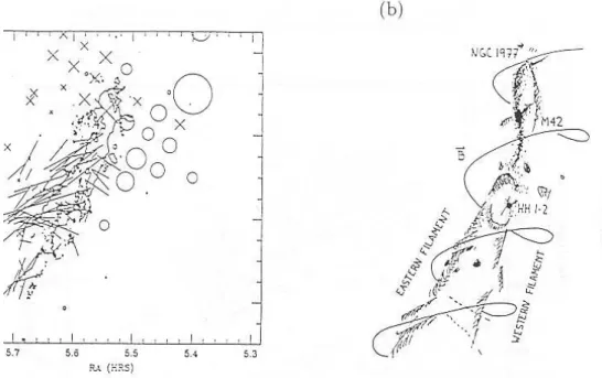 Figure 1.26: A structure of magnetic fields in the L1641 region. Polarization of light from embedded stars (Vrba et al