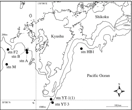 Fig. 1. Sampling sites for beam trawl operations by the RV Tansei-maru and TS Nagasaki-maru.