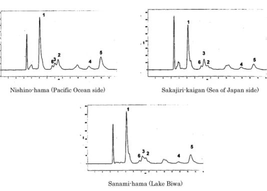 Fig. 2. HPLC patterns of the flavonoids from the leaves of Vitex rotundifolia.