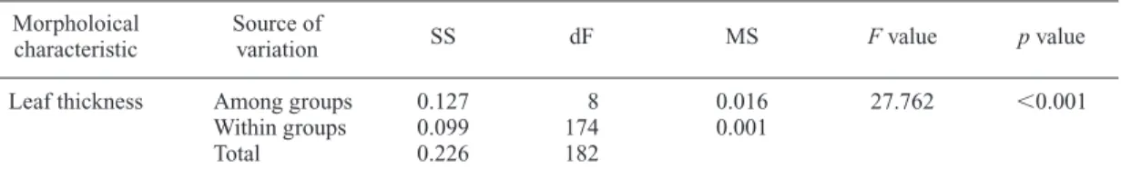 Fig. 1. Means and standard errors of dimensions of the leaf thickness in Vitex rotundifolia