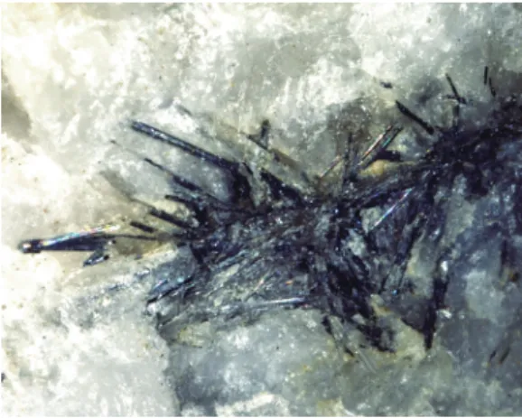Fig. 1.  The aggregate of acicular eclarite crystals in  quartz vein. Field view: approximately 3.6×4.5 mm.