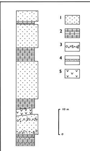 Fig. 3. Stratigraphic columnar section of the Hi- Hi-toegane Formation at a new outcrop