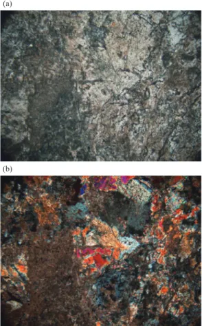 Fig. 3. Photomicrographs of minute prismatic crystals of Mn-bearing amphibole including in natronambulite