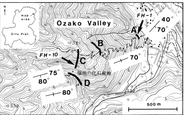 Fig. 1. Index map of the Fukuji area, Gifu Prefecture showing strikes and dips of the Fukuji Formation, and po- po-sitions of stratigraphic columnar sections (A–D) and coral localities (FH-1, 10)