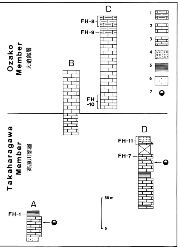 Fig. 3. Stratigraphic columnar sections of the Fukuji Formation. Horizons containing favositid corals (FH-1,  7–9, 11) and geopetal structures are indicated