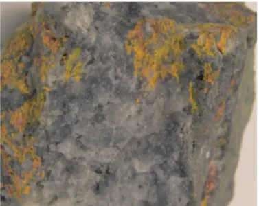 Fig. 1. Mixture of pararealgar and alacranite (both are yellow) inverted from realgar (orange) in quartz vein (NSM-M30973)