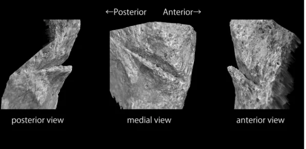 Fig.  6.  3D images of the cut mark reconstructed in Keyence VR-3000.