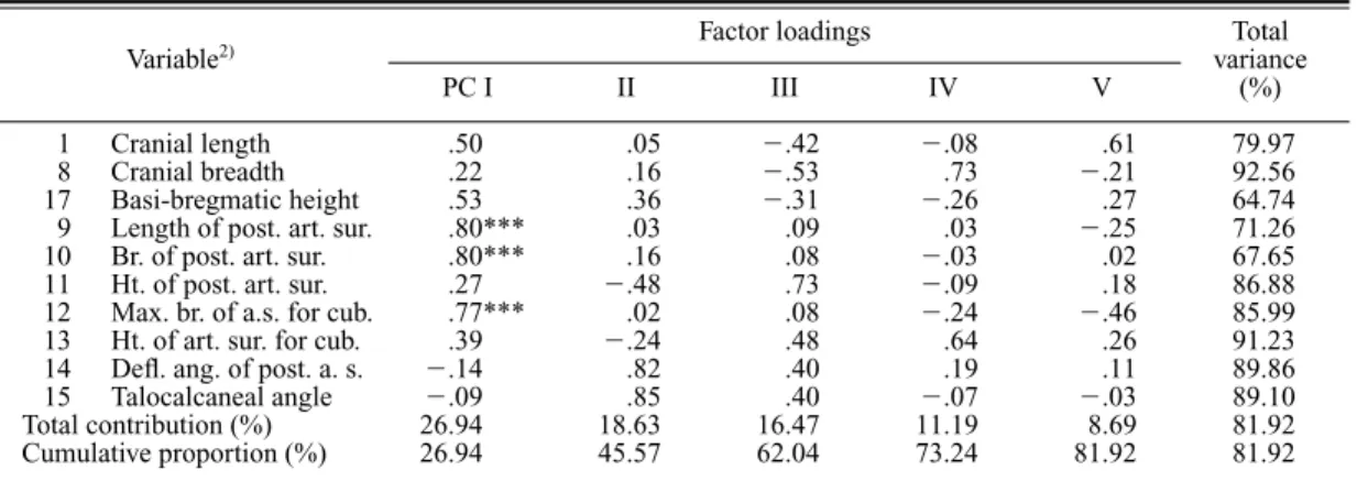 Table 23. Principal component analysis of the correlation matrix on the second set of measurements of the neuro- neuro-cranium and the calcaneus from Japanese males