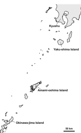 Fig. 1.  Map of the study area from southern  Kyushu to Okinawa-jima Island.