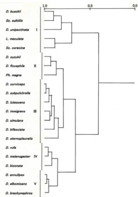 Fig. 3: Dendrogram showing niche overlap between  common drosophilid species in the winter  assemblage
