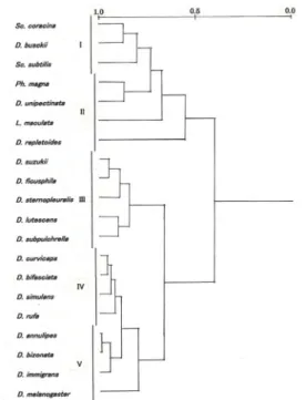 Fig. 4: Dendrogram showing niche overlap between  common drosophilid species in the spring  assemblage  林床付近に分布するが，Ⅳのグループに入る D
