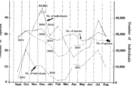 Fig. 1: Numbers of individuals and species of drosophilid flies collected in each month         (Solid lines: results of the present survey, Broken lines: results of the previous survey)