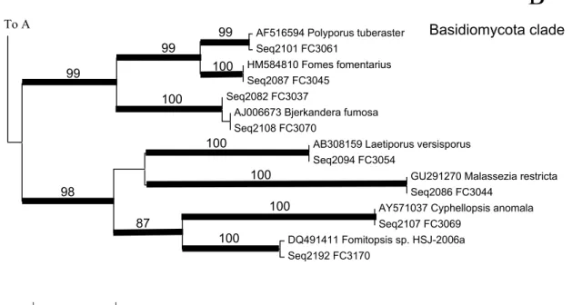 Fig. 6.  Part of neighbor-joining (NJ) tree (clade B in Fig. 3) of endophytic fungi from Aucuba japonica with reference  sequences from GenBank inferred from ITS-5.8S rRNA sequences