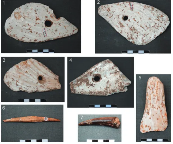 Figure 2-7.  Shell knives (1–4), shell dagger (?)(5), bone awl (6) and horn tool (7).