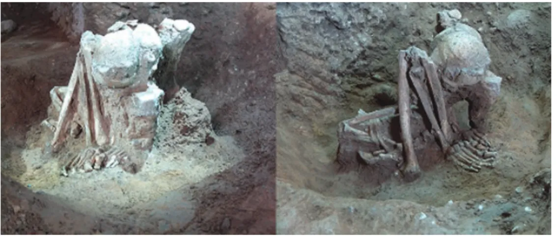 Figure 4-1.  The skeleton of M26 excavated at Huiyaotian.