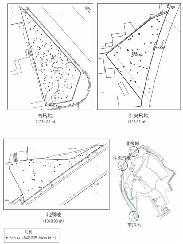 図 4 飛地における伐採前のシュロの分布状況