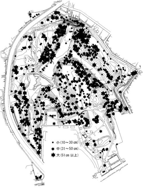 図 7 ミズキの枯死木の分布図（2006 年〜 2011 年の合計）