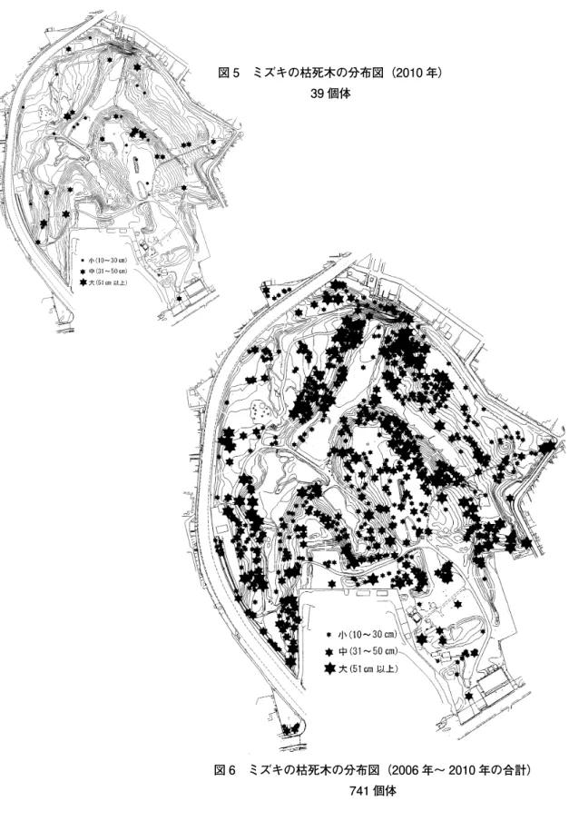 図 5 ミズキの枯死木の分布図（2010 年）