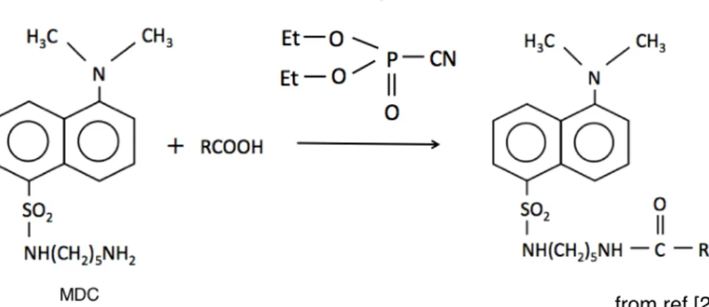 Fig 12  Conversion of FFA to a fluorometric derivatives.