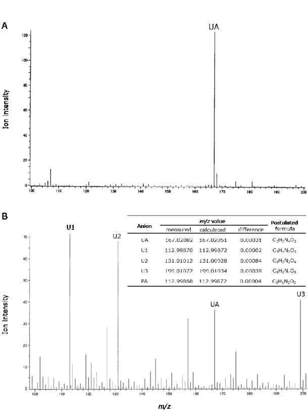 Fig. 2-2  200 M UA  を RB-UVA 照射（1.12mW/ cm 2 ）の系で発生させた 1 O 2 と反応させた．反応開始 0 分（A）と 60 分後（B）の MS スペクトル，および，