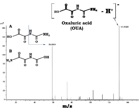 Fig. 2-3  PA の加水分解生成物である OUA の MS スペクトル 