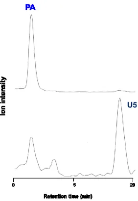 Fig. 2-19  U4 分取後のクロマトグラム 