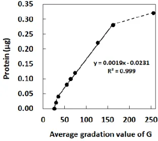 Fig.  1-2  Relationship  between  the  fluorescence  intensity  and  the  gradation  value  obtained  from  fluorescence images