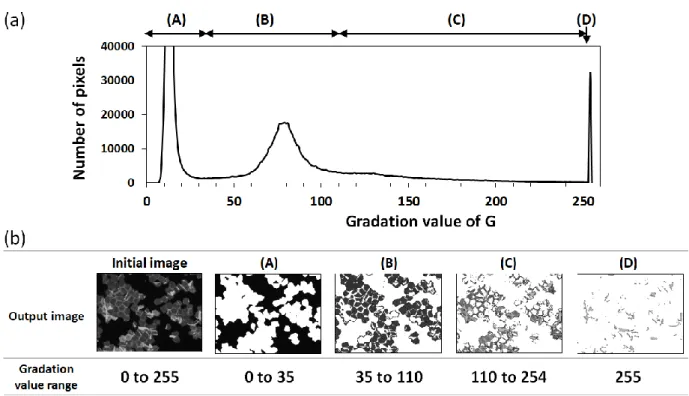 Fig. 1-3 Identification of fluorescence origins using a profile of the image histogram