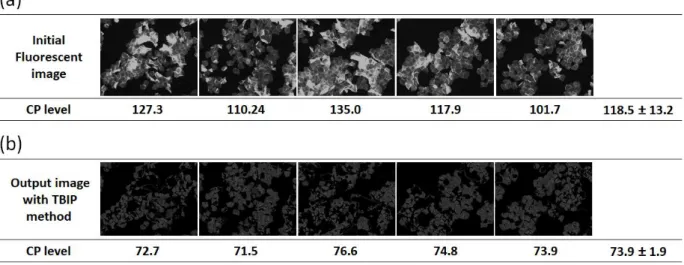 Fig.  1-4  Comparison  of  CP  levels  with  and  without  the  threshold-based  image  processing  (TBIP)  method