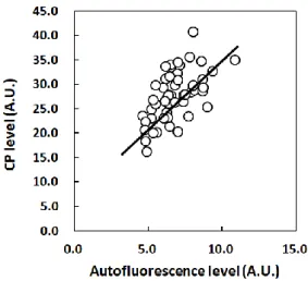 Fig. 2-2 Positive correlation of the CP level with autofluorescence level of the SC. SCs were collected by  tape-stripping from the cheek or the upper inner arm of volunteers (n = 5)