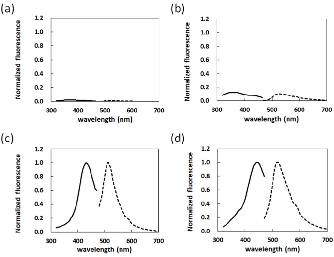 Fig.  2-3  Fluorescence  spectrum  of  carbonylated-BSA  (CP-BSA)  and  carbonylated-SC  sheets
