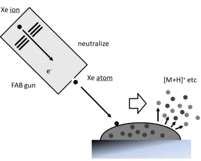 Figure 5 Fast Atom Bombardment (FAB) FAB では真空中で 3-NBA・グリセロールなど低揮発性の液体マトリックスに分散した試料 を原子衝突によるエネルギーを用いてマトリックスと同時にイオン化する．ソフトイオ ン化法とされており付加イオンを生成することが多い． [M+H] + etc MSXe atomXe ionneutralizee