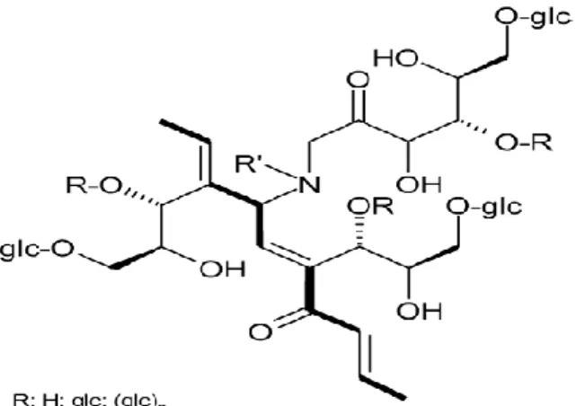 Figure  1:  Basic  melanoidin  structure  formed  from  carbohydrates  and  amino  acid  (Logan,  2007)