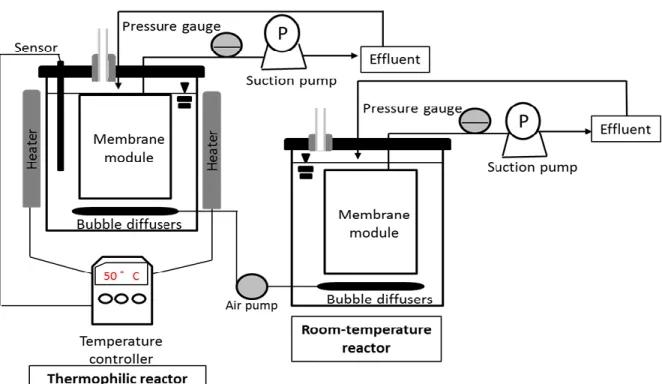 Fig. 4 – Schematic diagram of the membrane bioreactors. 